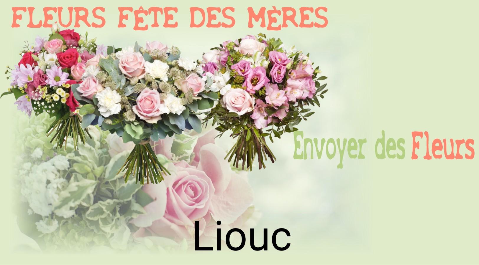 Bouquet de Fête des Mères livré à Liouc
